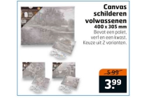 canvas schilderen volwassenen