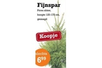 fijnspar