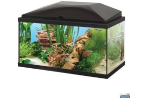fishome aquarium 60 light