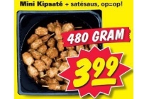 mini kipsat en eacute