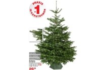 nordmann kerstboom