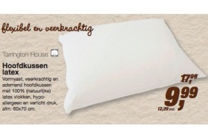 hoofdkussen latex