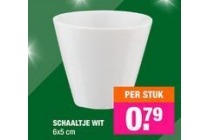 schaaltje