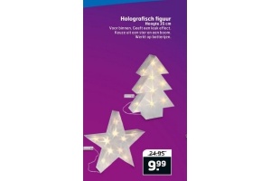 holografisch figuur