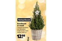 kerstboom in mand