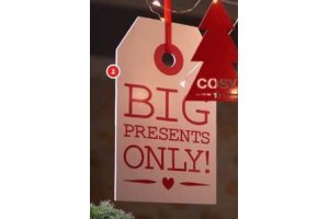 kerstlabel hout 15x25 cm