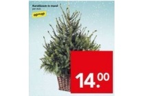 kerstboom in mand