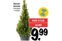 kerstboom