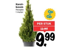 kerstboom