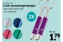 2 led sleutelhangerlampjes