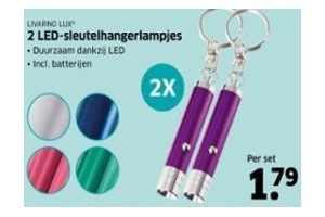 2 led sleutelhangerlampjes