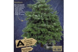 kerstboom