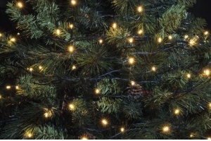 ledlampjes kerst