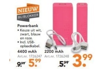 powerbank