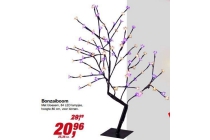 bonzaiboom met bloesem