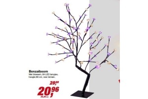 bonzaiboom met bloesem