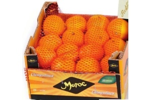 mandarijnen 1 8 kg