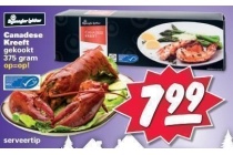 bijzonder lekker canadese kreeft
