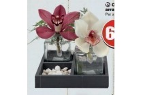 orchidee arrangement