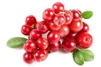 cranberries