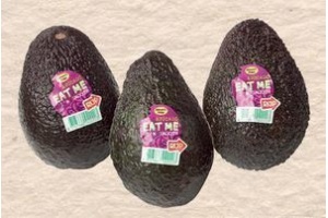 avocado