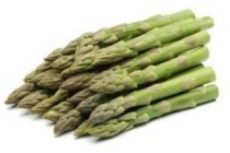 aspergetips