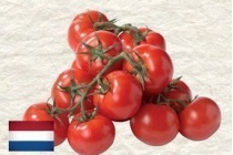 mini san marzano tomaten