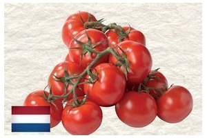 mini san marzano tomaten