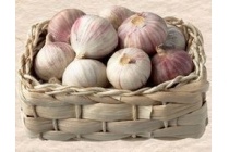 knoflook