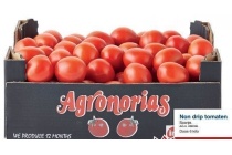 agronorias tomaten