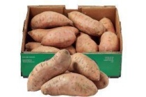 zoete aardappel