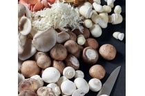 kastanje champignons