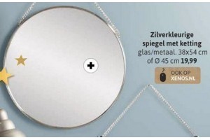 zilverkleurige spiegel met ketting