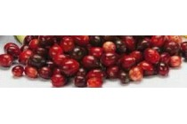 cranberries