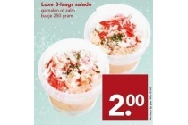 luxe 3 laags salade voor en euro 2
