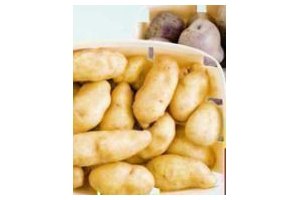 ratte of truffel aardappelen