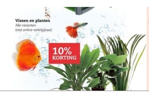 vissen en planten