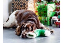 kerstspeelgoed voor hond en kat