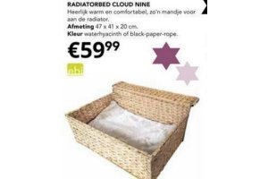 radiatorbed cloud nine