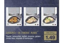 gourmet en fondue minis