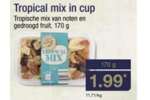 tropical mix in cup