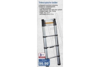 telescopische ladder