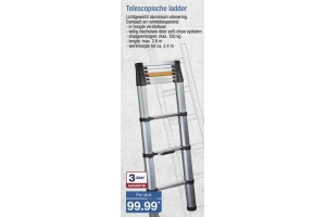 telescopische ladder