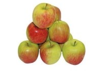 goudreinetten per kilo en euro 0 69