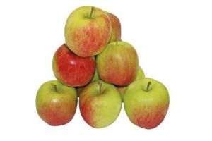 goudreinetten per kilo en euro 0 69