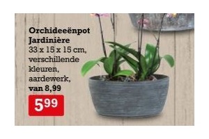 orchidee en euml npot jardini en egrave re