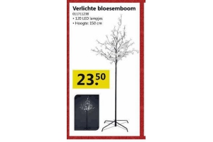 verlichte bloesemboom