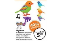 digibirds