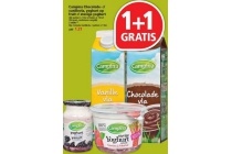 campina chocolade of vanillevla yoghurt op fruit of stevige yoghurt