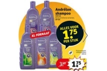 andr en eacute lon shampoo xl formaat